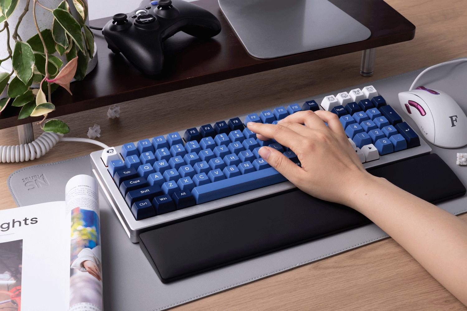 Mechanical Keyboard Wrist Support