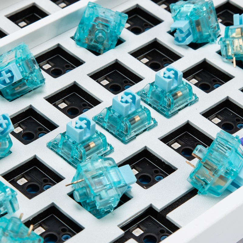 Jelly Blue-Main (1)