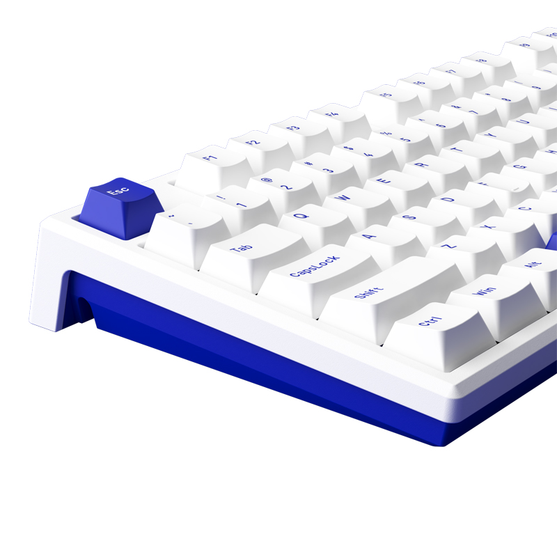MG108B Blue-on-White Main (5)