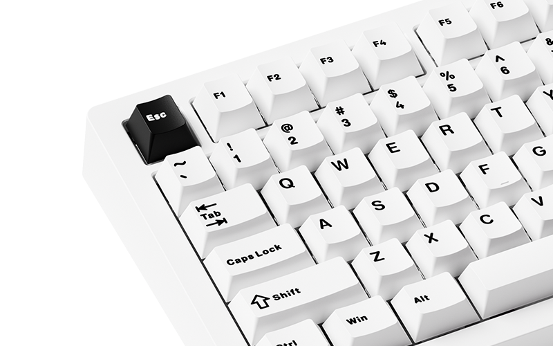 MonsGeek M1 V5 Black on White Quick Release Mechanical Keyboard (13)